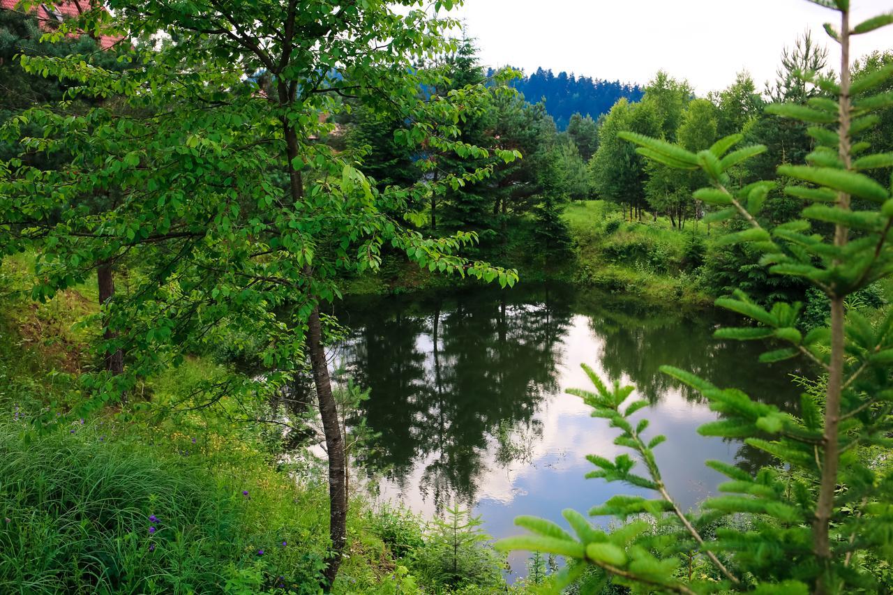 Villa Buhiv Skhidnytsia Exteriör bild